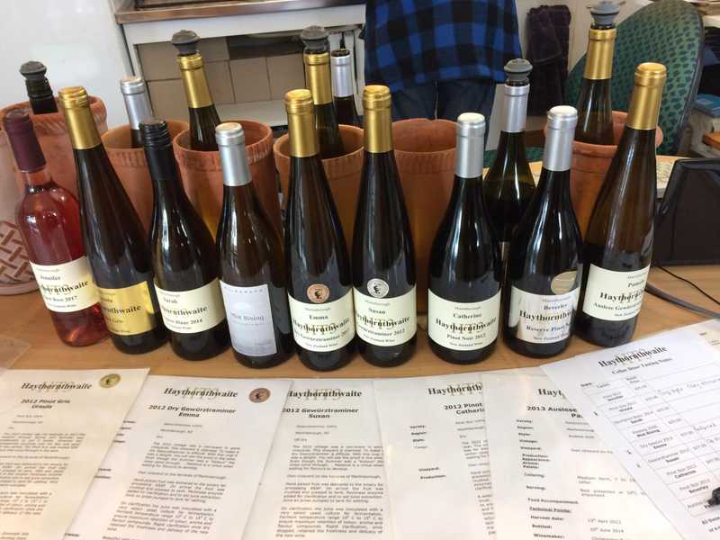 If you're in Martinborough, go to Haythornthwaite! Great wine and a real character to host you.