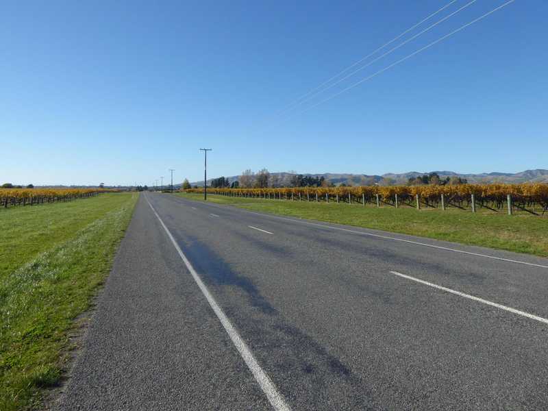 Quiet, flat road between Renwick and Blenheim