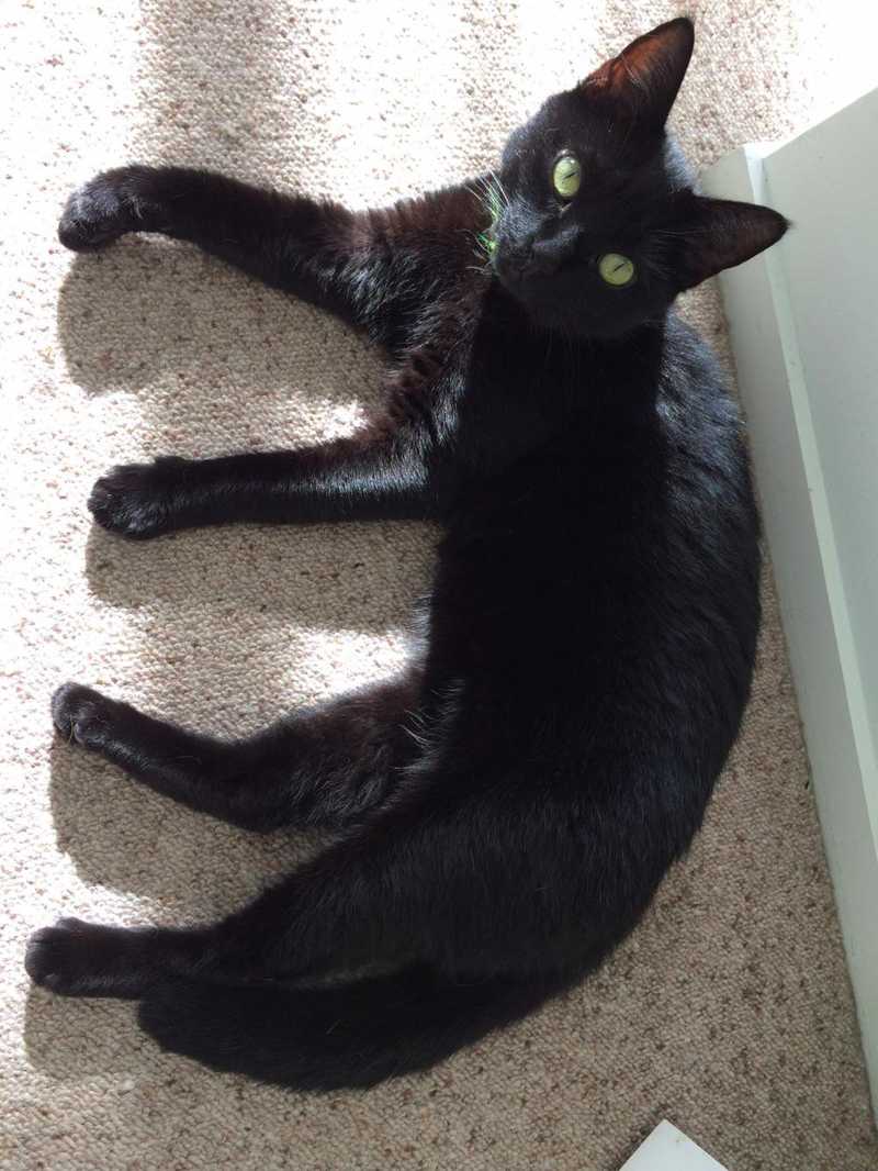 Izzy, one of our warmshowers hosts