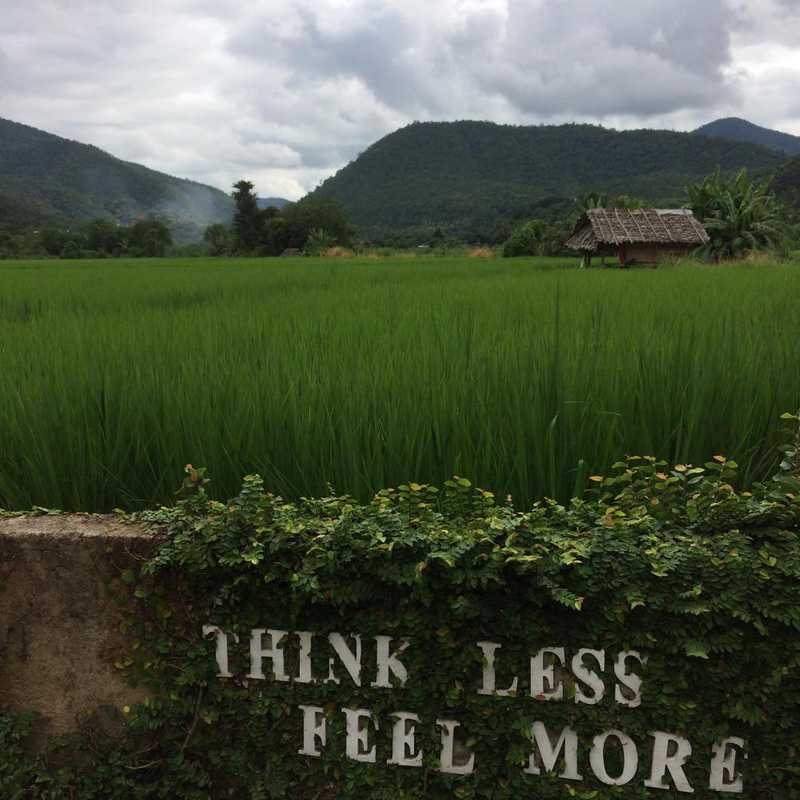 The view from Loomg Wiang