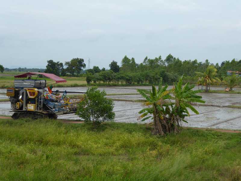 Surprising sights from the train